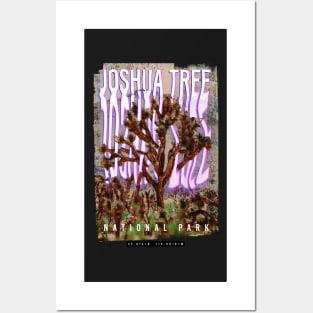 joshua tree, national park, hiking, u2, nature, Posters and Art